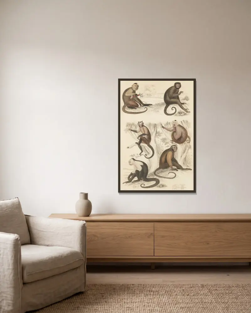 Weepers von William MacGillivray gerahmt an einer Wand