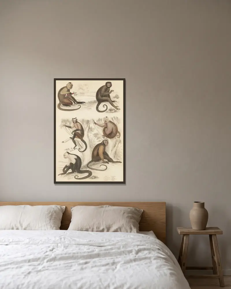 Weepers von William MacGillivray gerahmt an einer Wand