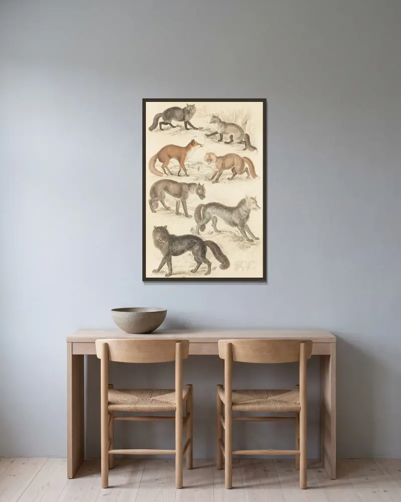Wolves & Foxes av William MacGillivray inramad på en vägg