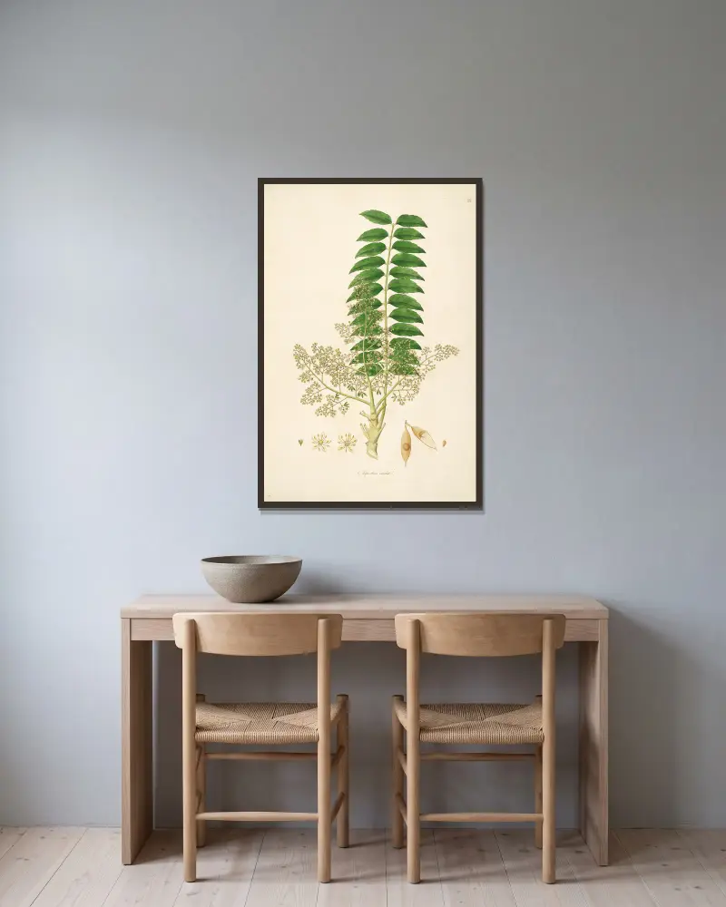 Pflanzen der Küste von Coromandel, Tafel 023 von William Roxburgh gerahmt an einer Wand