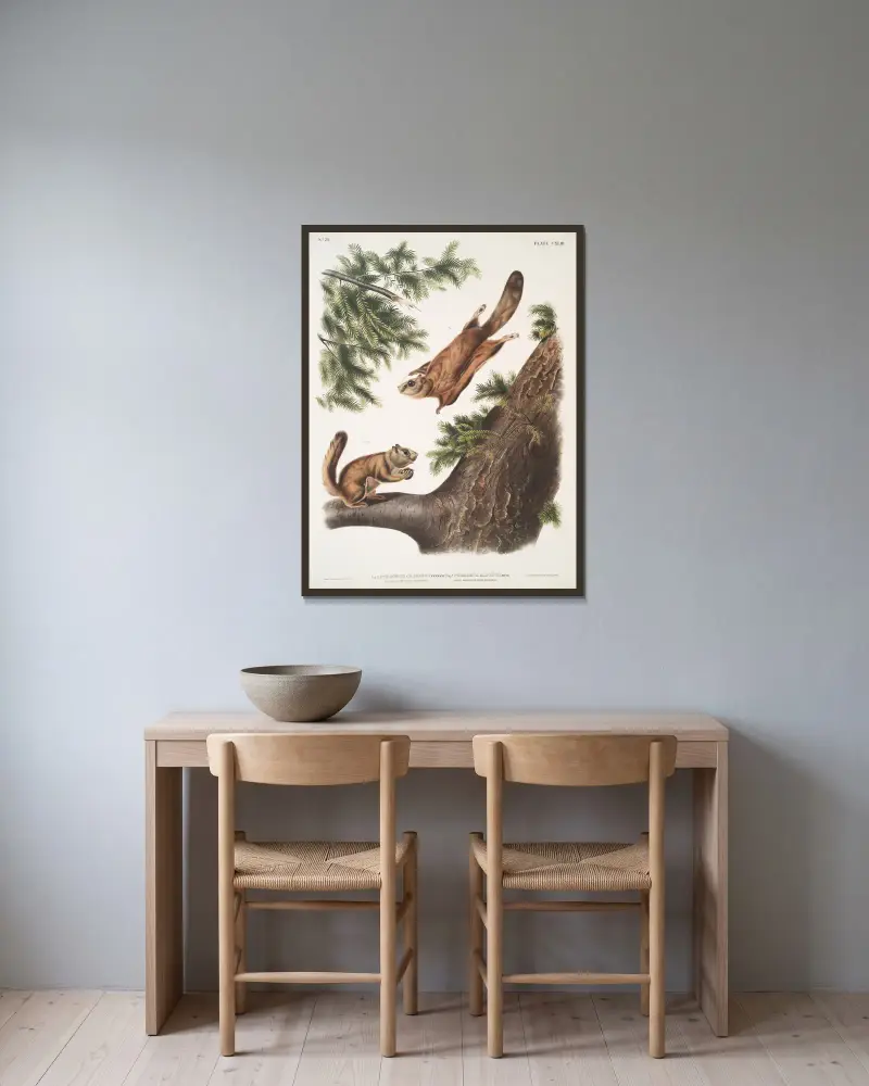 1. Pteromys sabrinus, Severn Rivers flygekorre; 2. Pteromys alpinus, Klippiga bergens ekorre av John Woodhouse Audubon inramad på en vägg