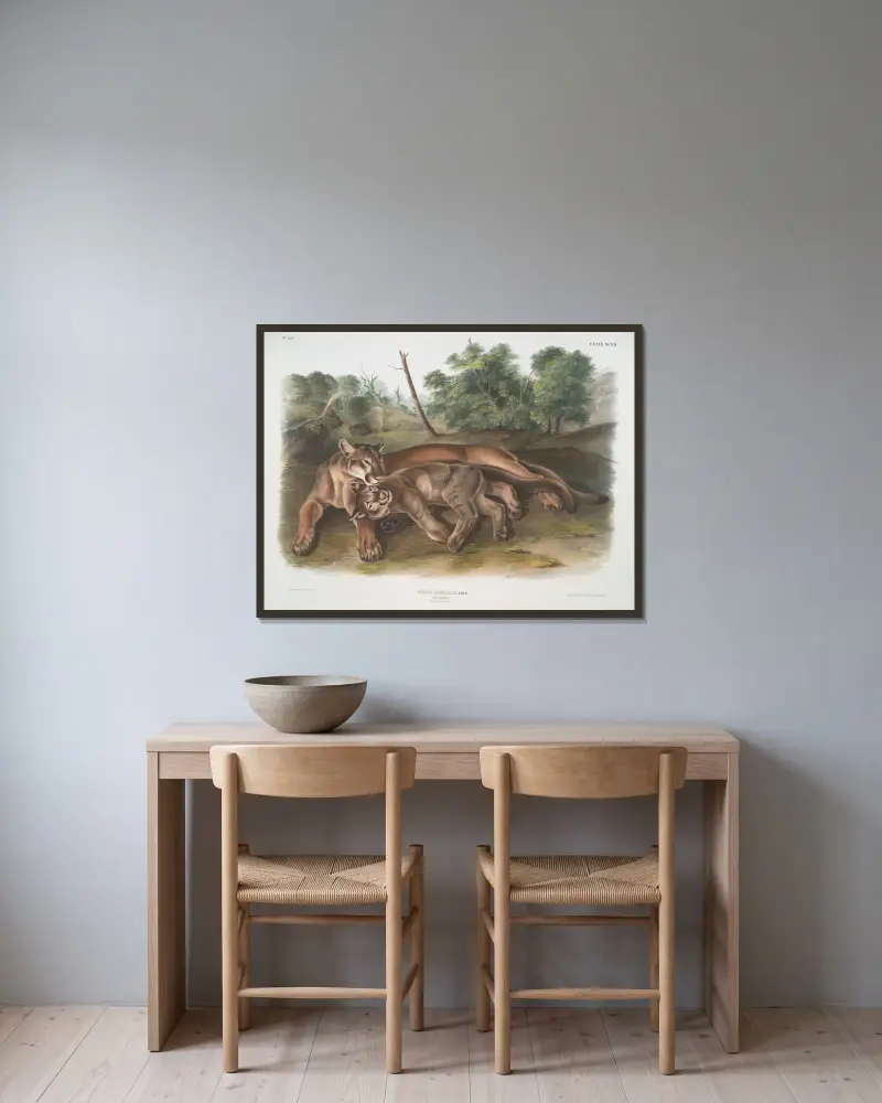 Felis concolor, puma. Hona och unge. av John Woodhouse Audubon inramad på en vägg