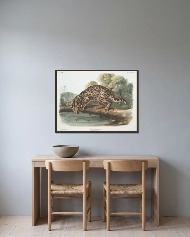 Felis pardalis, Ozelot oder Leopardkatze (Männchen) von John Woodhouse Audubon gerahmt an einer Wand