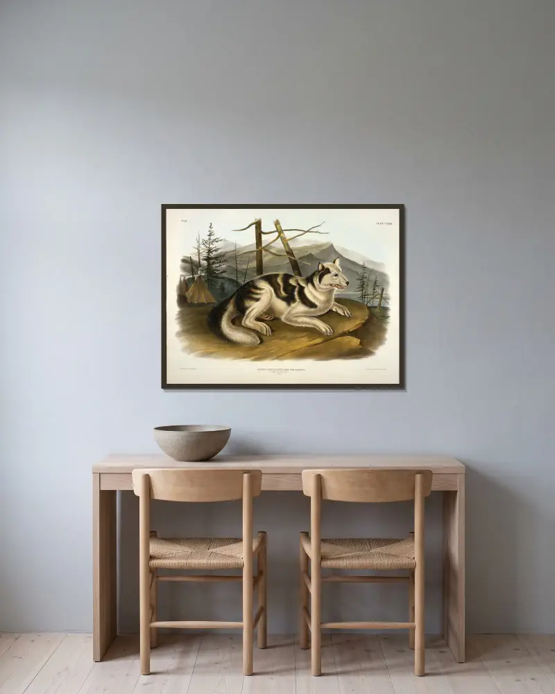 Hare Indian Dog von John Woodhouse Audubon gerahmt an einer Wand