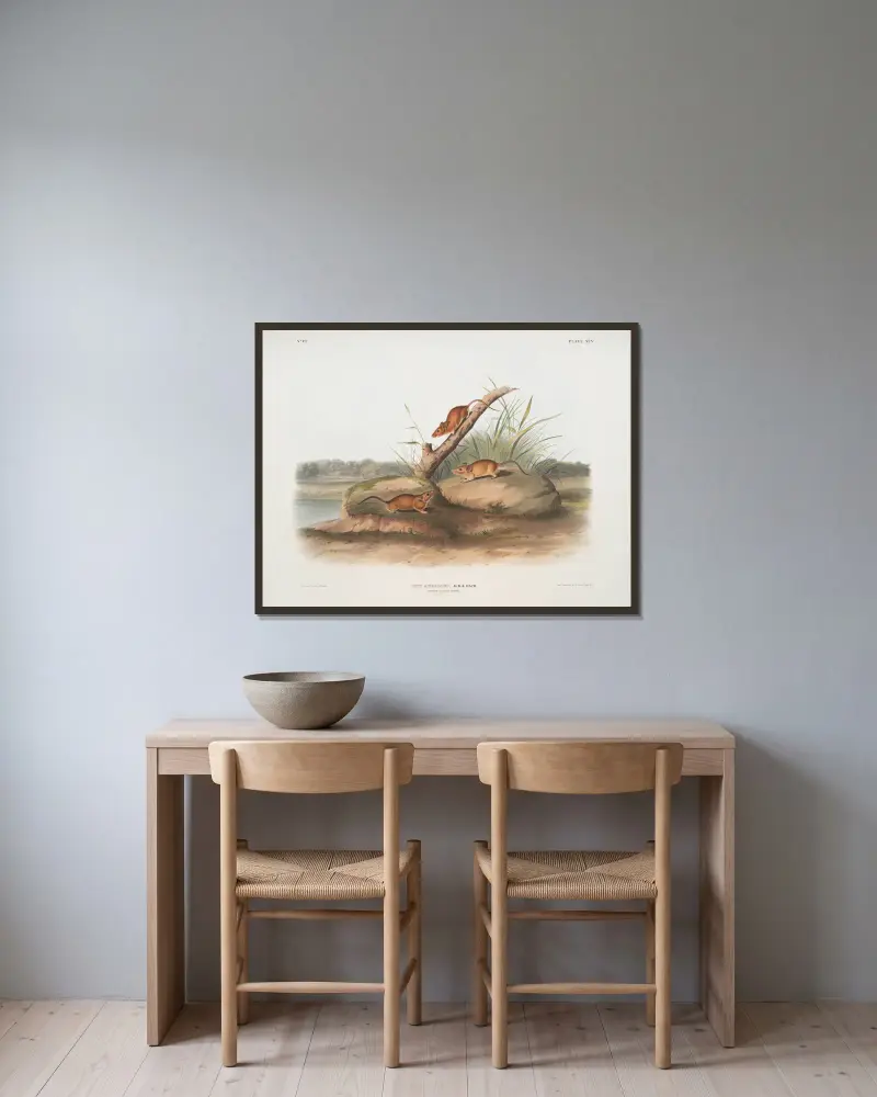 Mus aureolus, Goldmaus. Männchen und Weibchen. Natürliche Größe. von John Woodhouse Audubon gerahmt an einer Wand