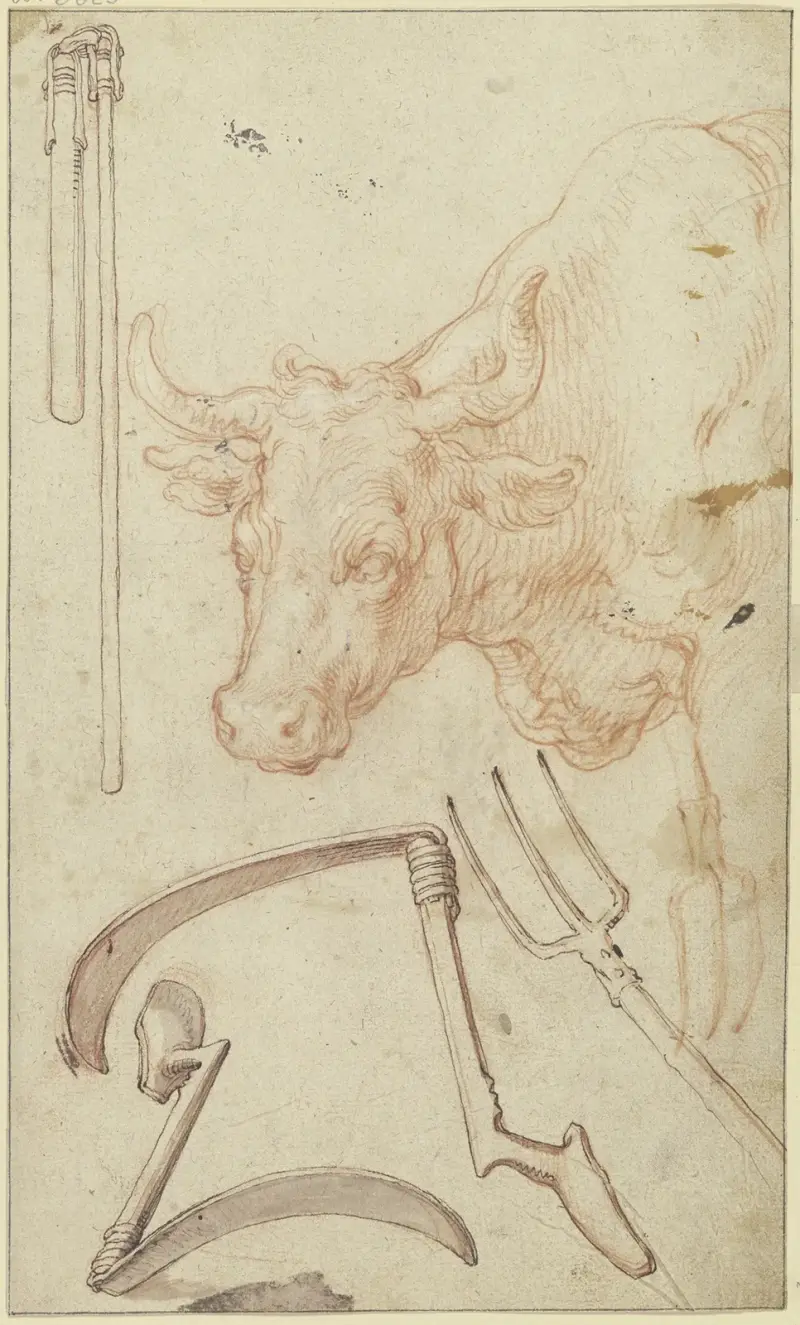 Studieblad; lantbruksredskap och ett tjurhuvud av Abraham Bloemaert