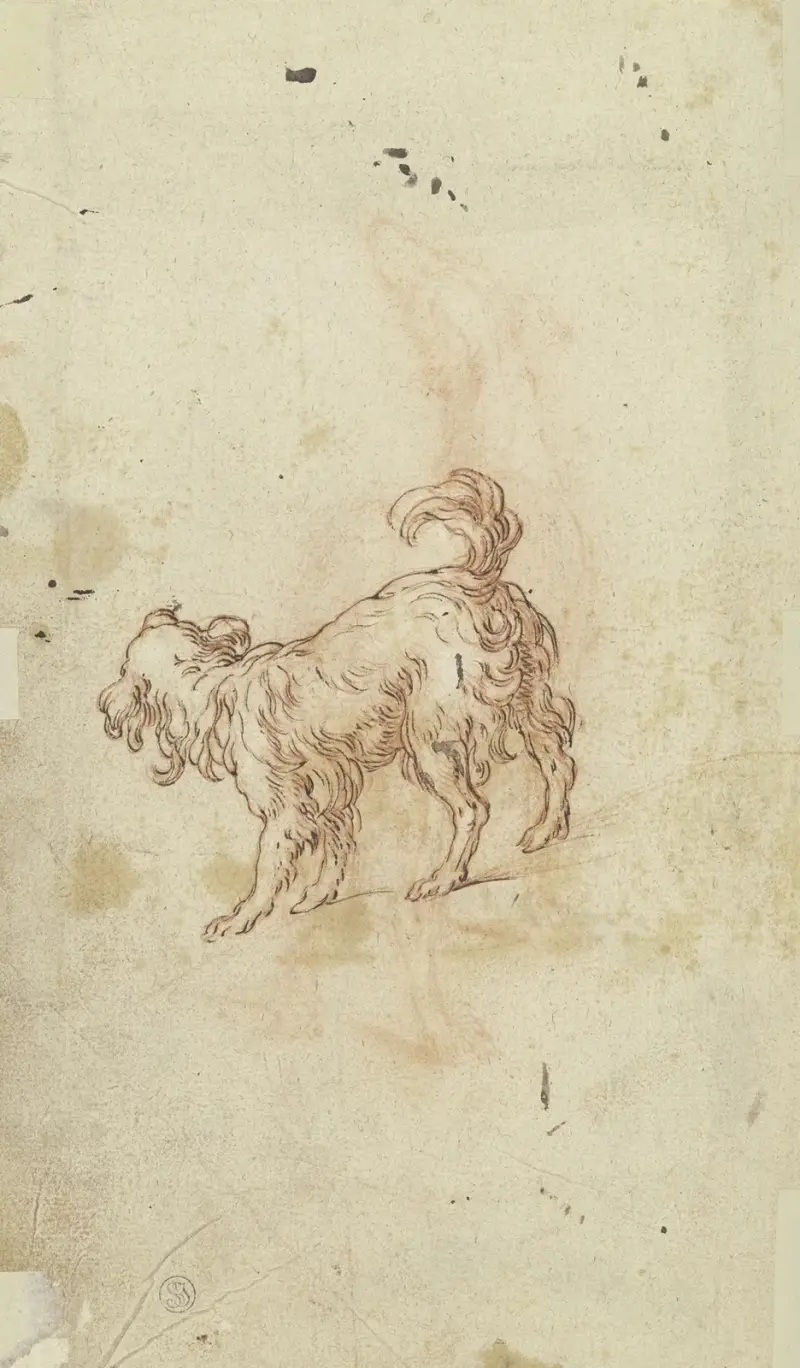 Studijní list; dva psi, Abraham Bloemaert