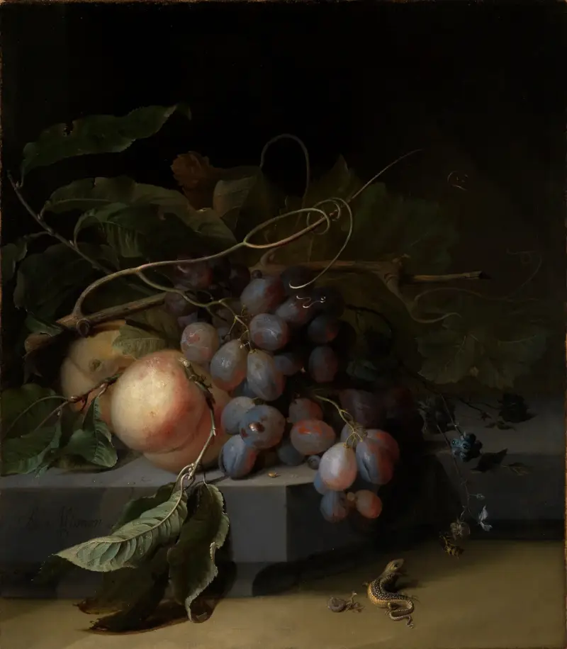 Fruchtstilleben mit Eidechse von Abraham Mignon