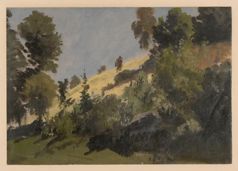 Mountain slope near Książ av Adolf Dressler