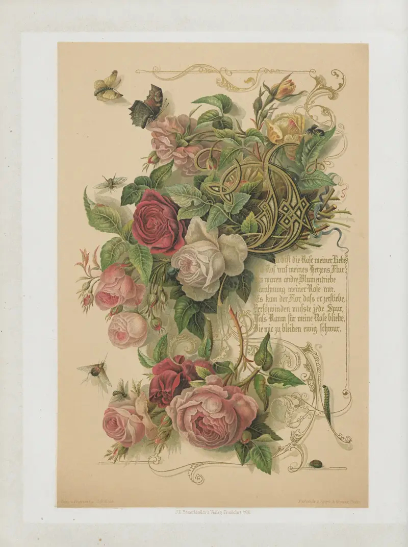 Friedrich Rückerts Liebesfrühling, plansch 3 av Adolf Schrödter