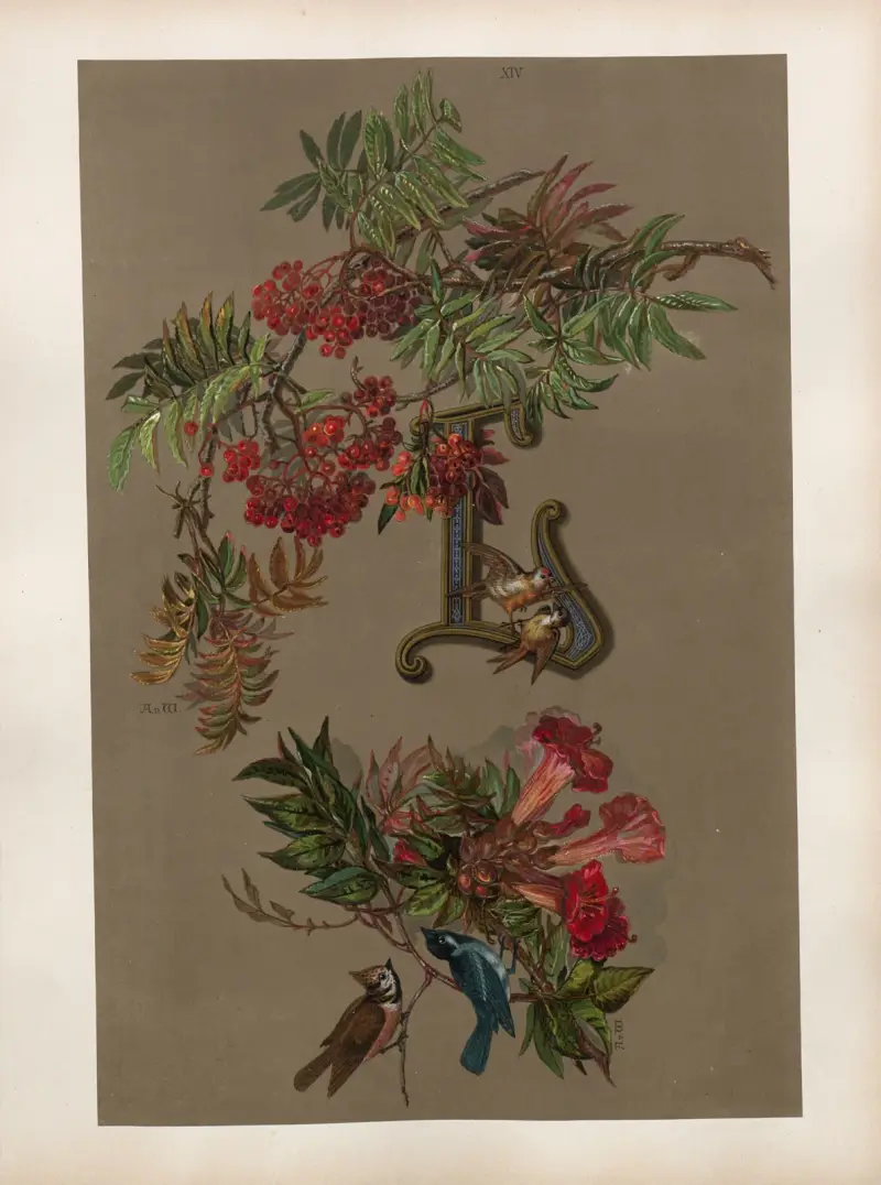 Studien zur Aquarell-Malerei Pl.13 von Adolf Schrödter