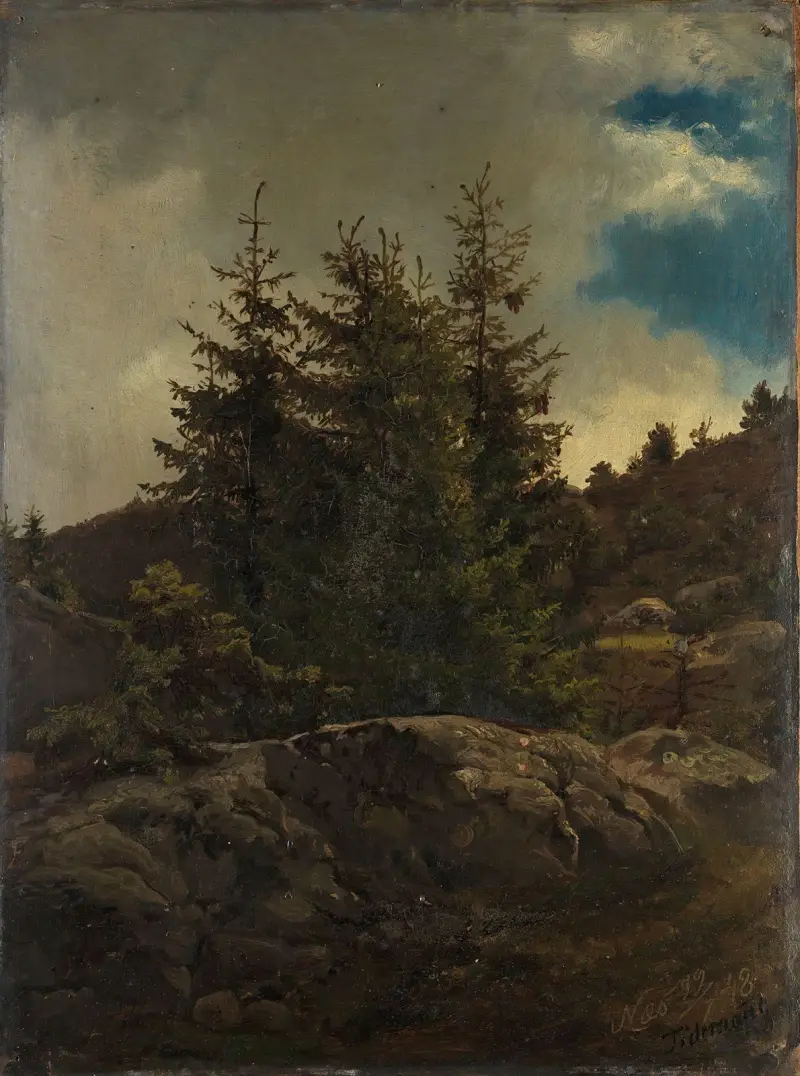Krajobraz z Nes w Hallingdal, Adolph Tidemand
