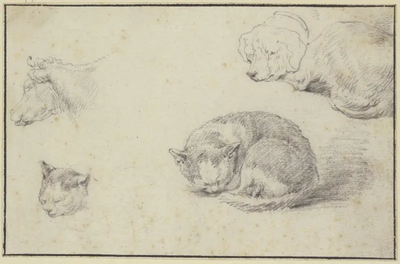 Sovande katt och hund, ett kohuvud och ett katthuvud av Aelbert Cuyp