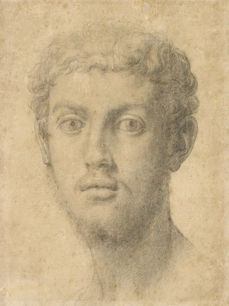 Head of a Man av Agnolo Bronzino