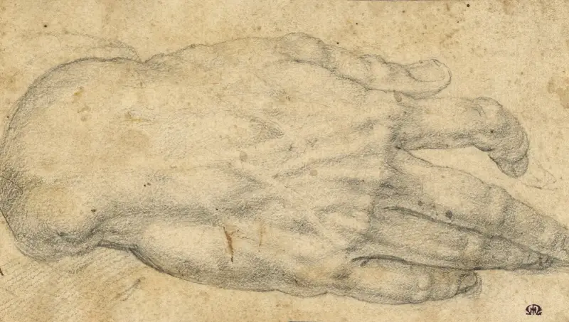 Studie av en mans högra hand av Agnolo Bronzino