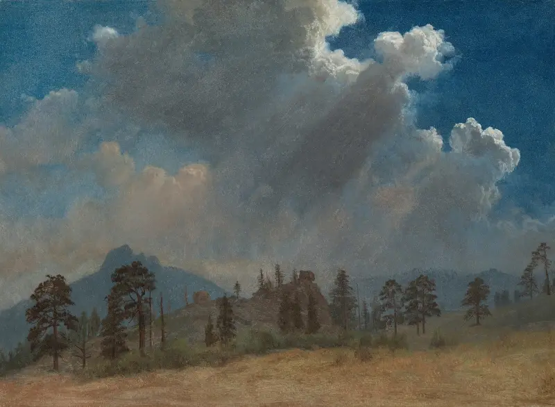 Tannen und Sturmwolken von Albert Bierstadt
