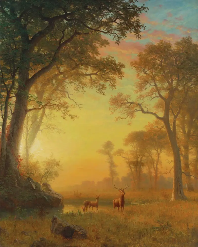 Licht im Wald von Albert Bierstadt