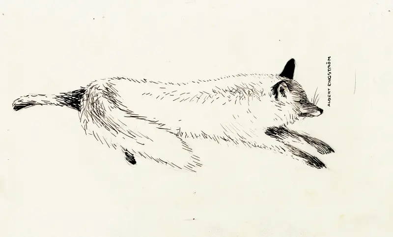 Dychtivý po lovu, Albert Engström