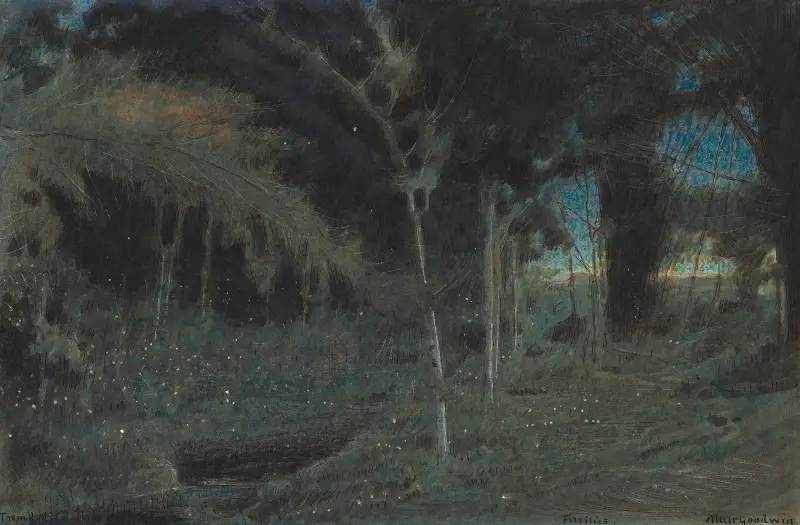 Glühwürmchen, Trinidad von Albert Goodwin