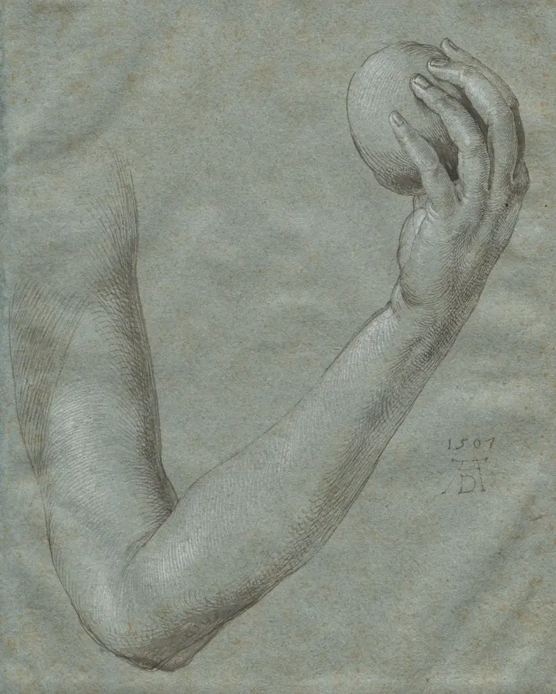 Arm of Eve av Albrecht Dürer