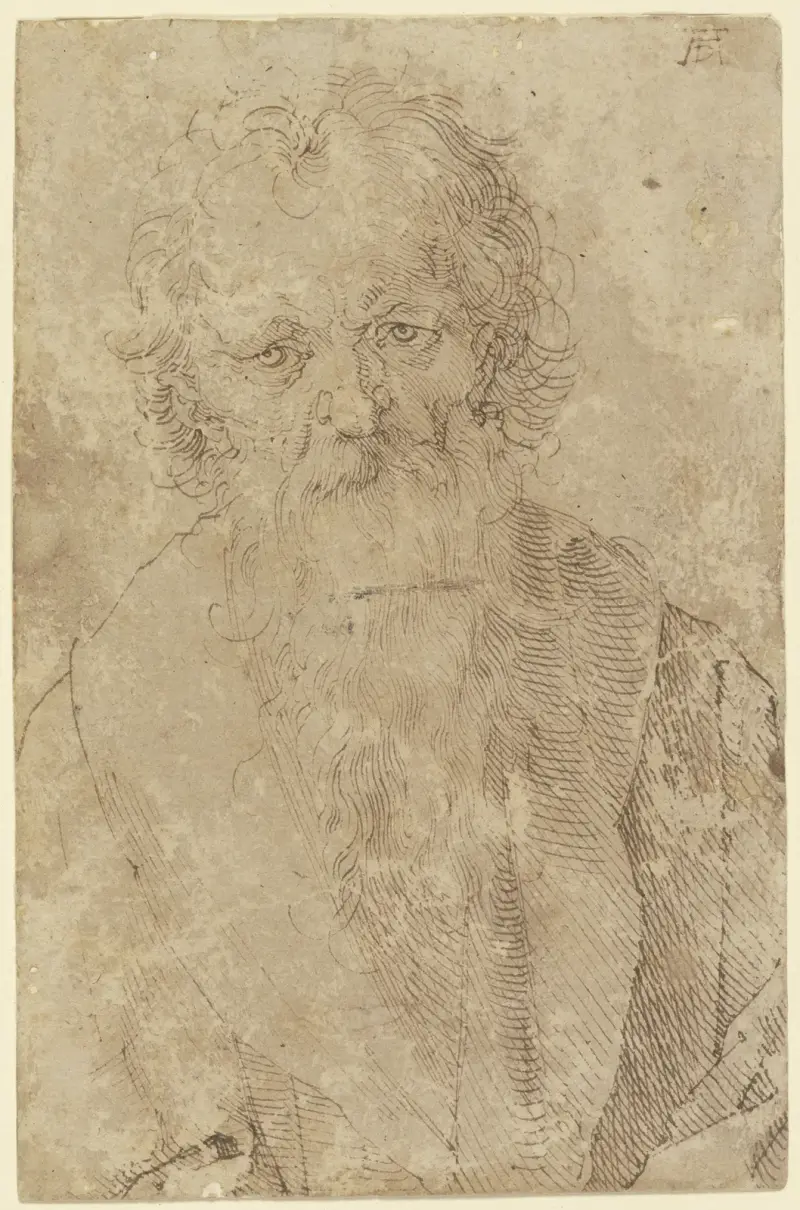 Vousatý stařec, Albrecht Dürer