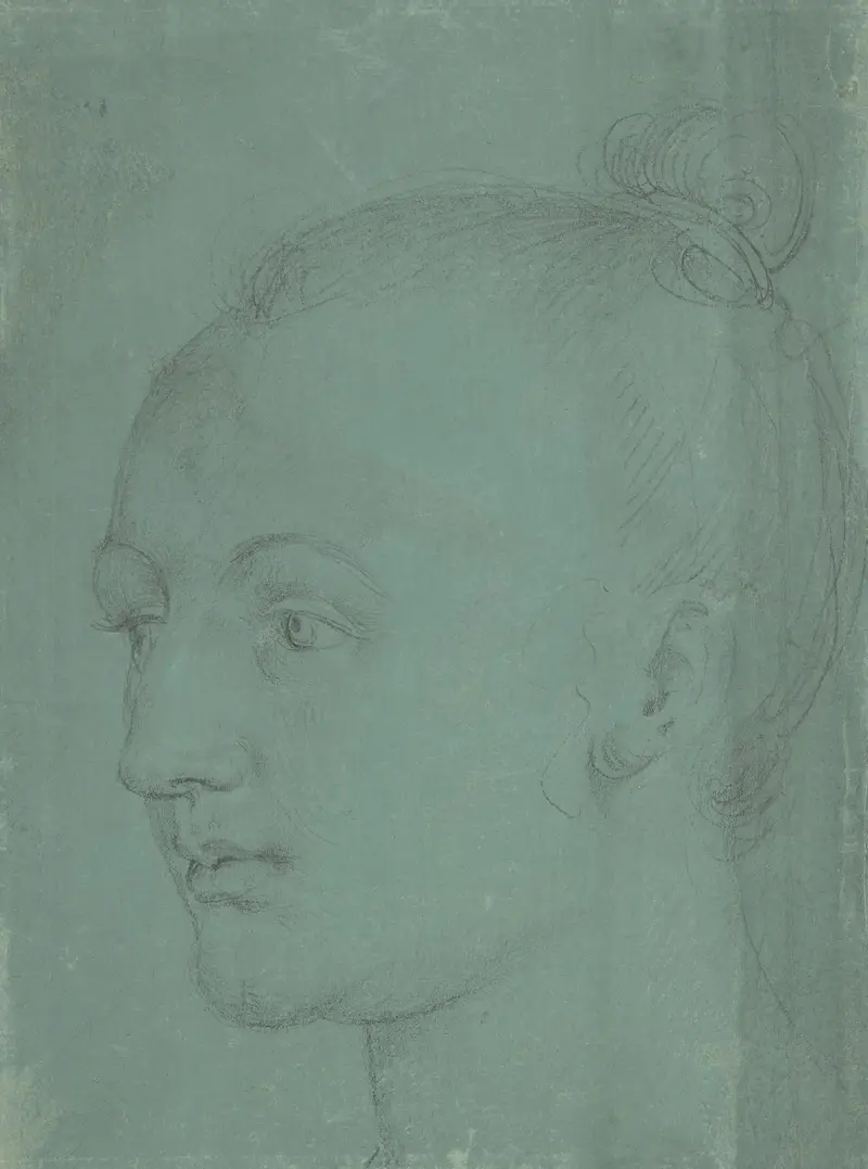 Kopf einer jungen Frau von Albrecht Dürer