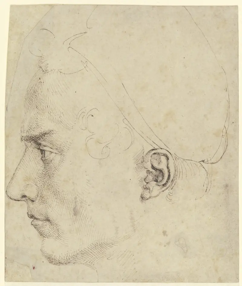 Männlicher Kopf im Profil von Albrecht Dürer