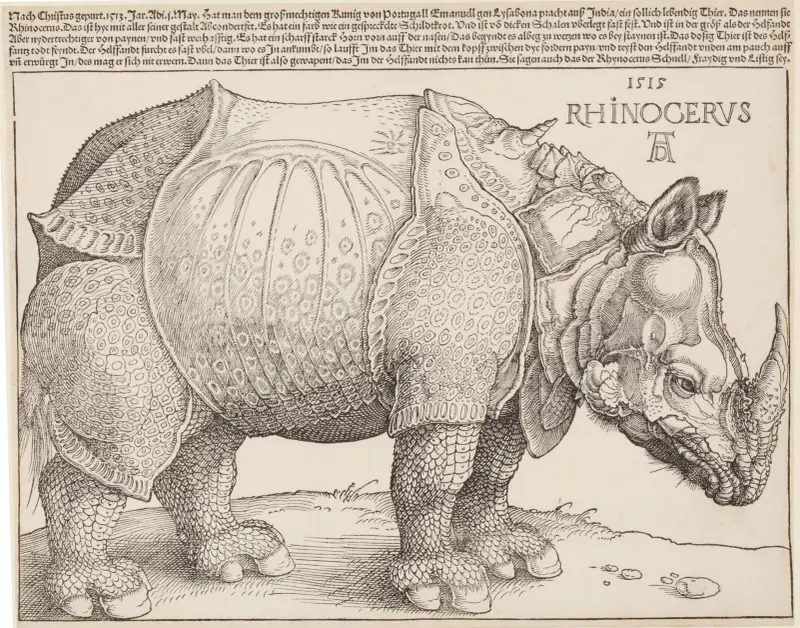 Rhinozeros von Albrecht Dürer