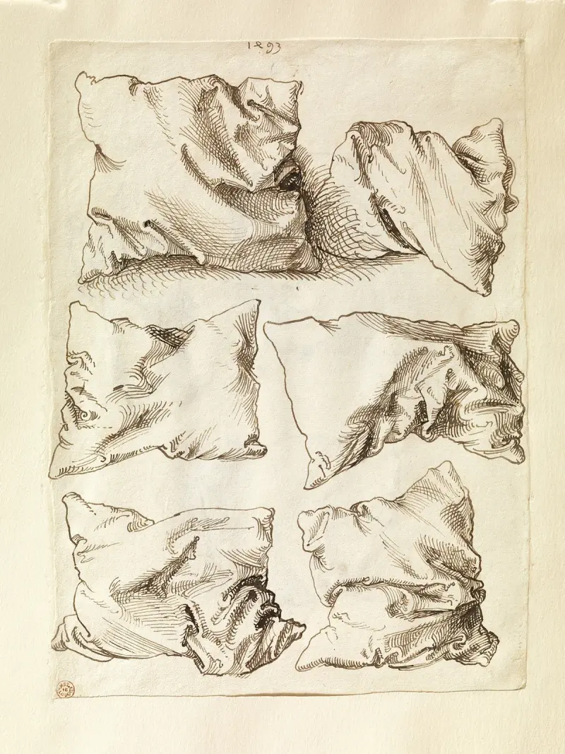 Sex studier av kuddar av Albrecht Dürer
