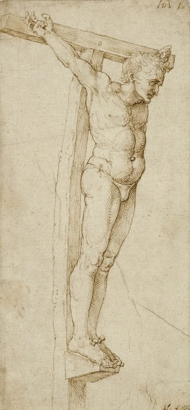 Studium dobrego łotra, Albrecht Dürer