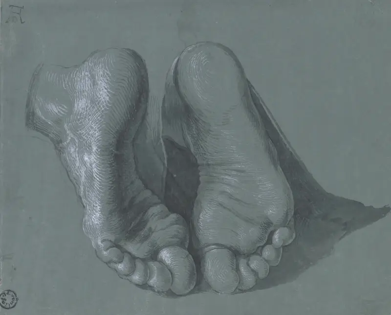 Studie zweier Füße von Albrecht Dürer