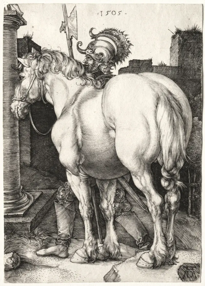 Wielki koń, Albrecht Dürer