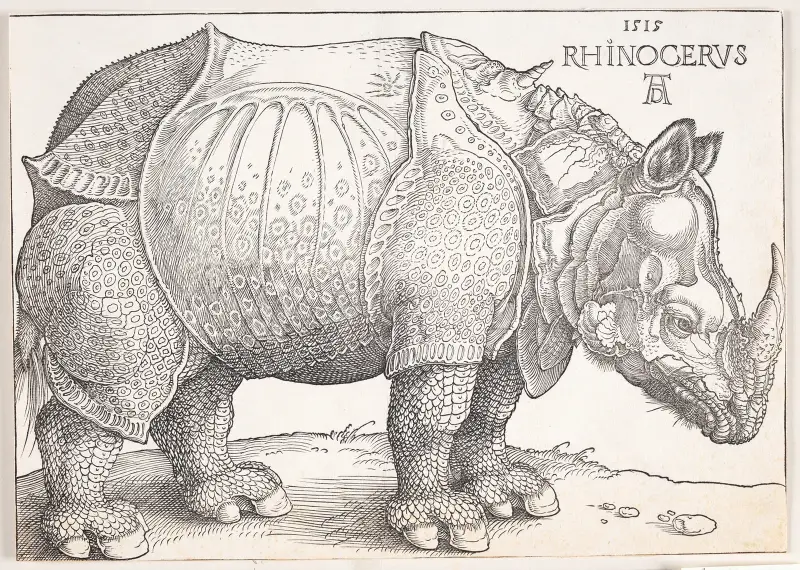 The rhinoceros, 1515 – nr 2 av Albrecht Dürer