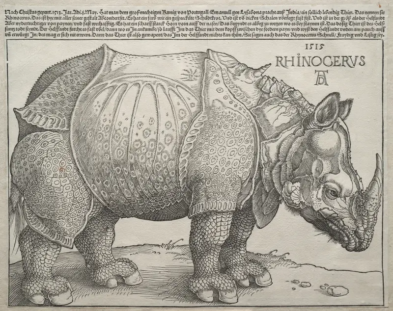 Das Rhinozeros, 1515 – Nr. 1 von Albrecht Dürer
