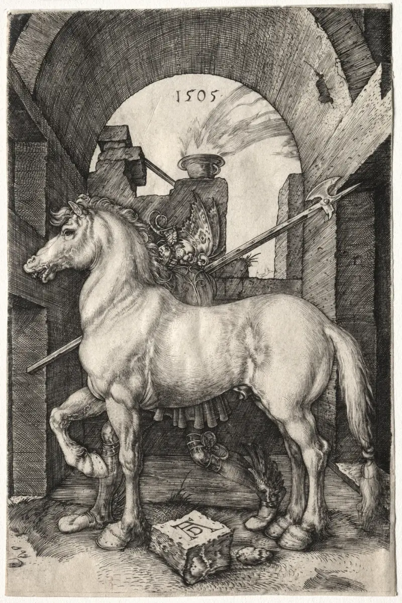 Koníček, Albrecht Dürer