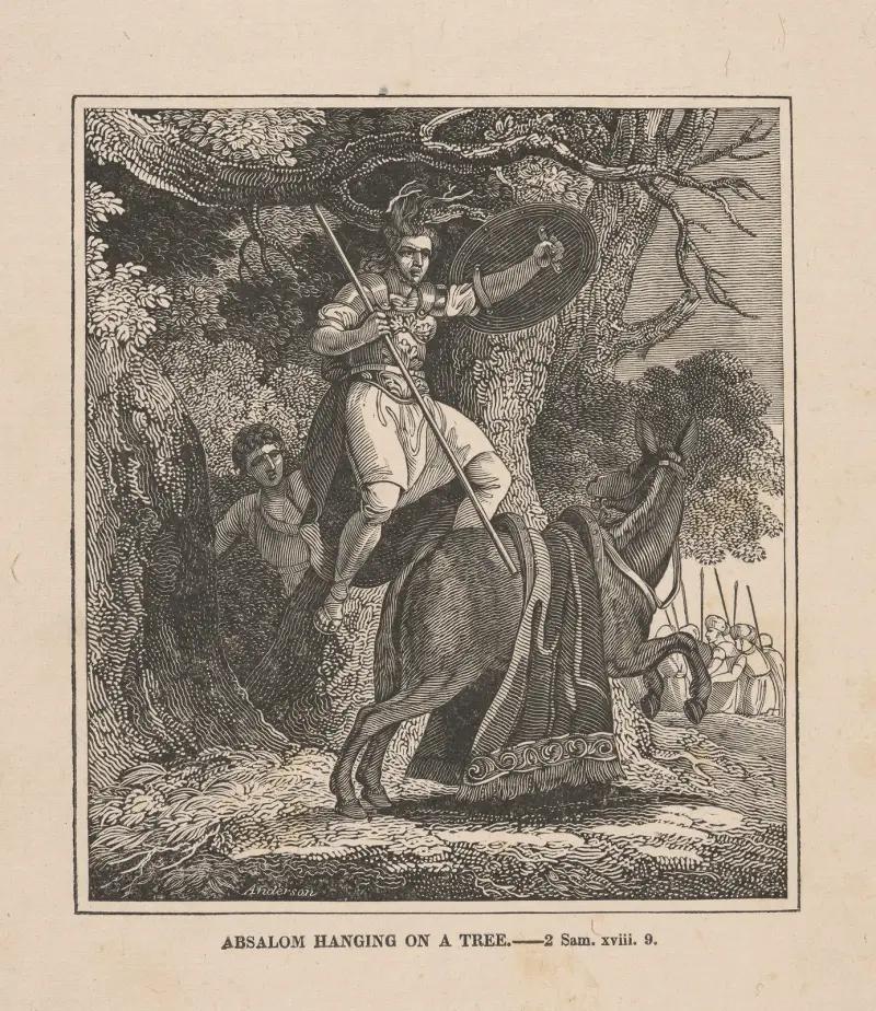 Absalom visící na stromě, Alexander Anderson