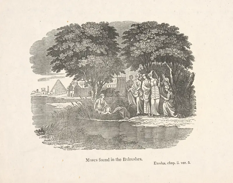 Moses funnen i vassen av Alexander Anderson