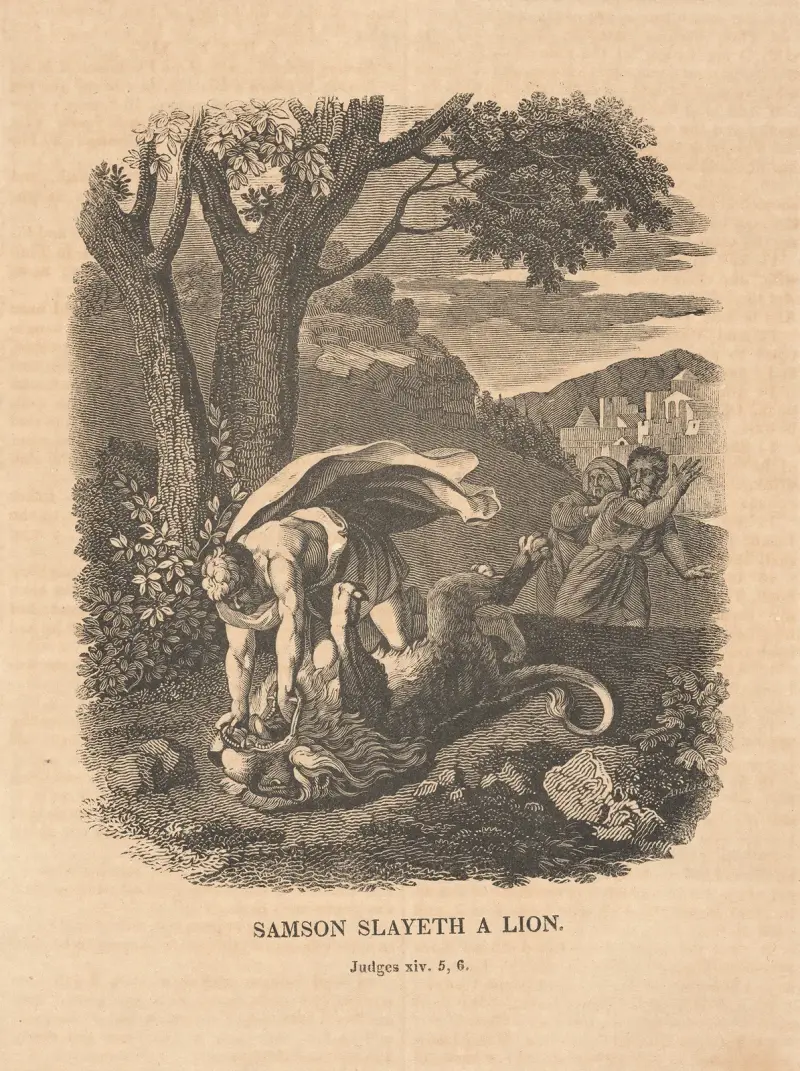 Samson, který zabíjí lva, Alexander Anderson