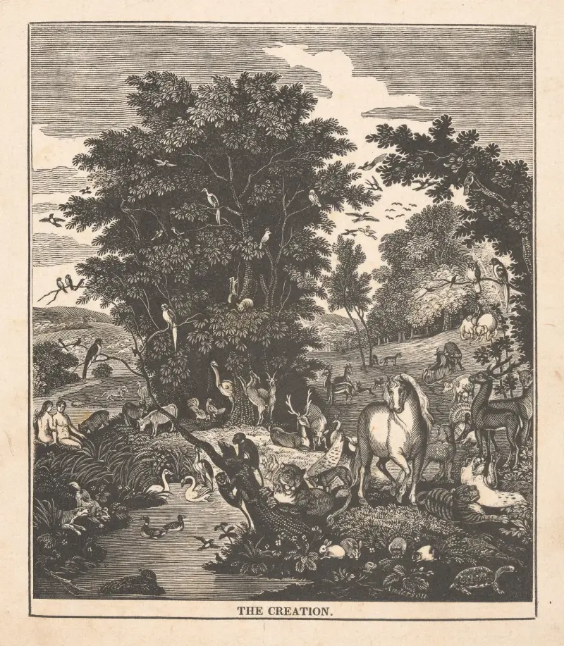 The creation av Alexander Anderson