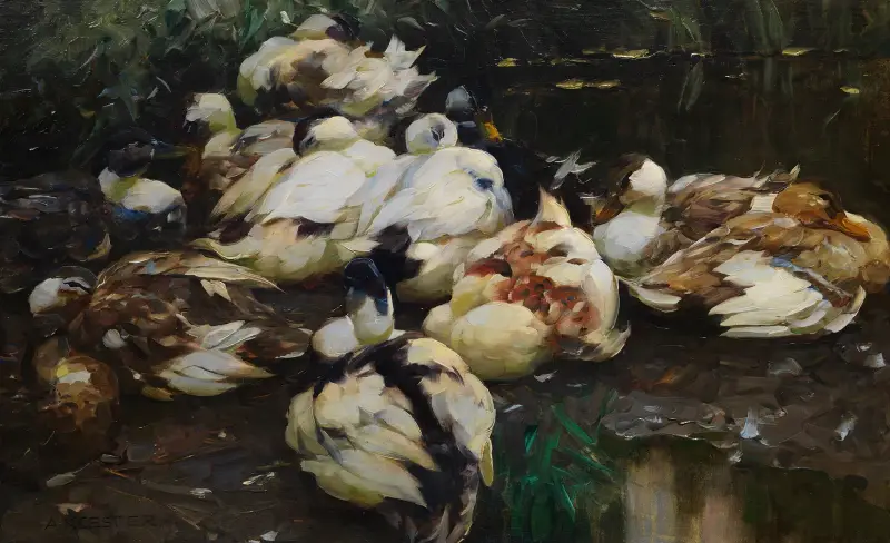 12 Enten im Wasser av Alexander Koester