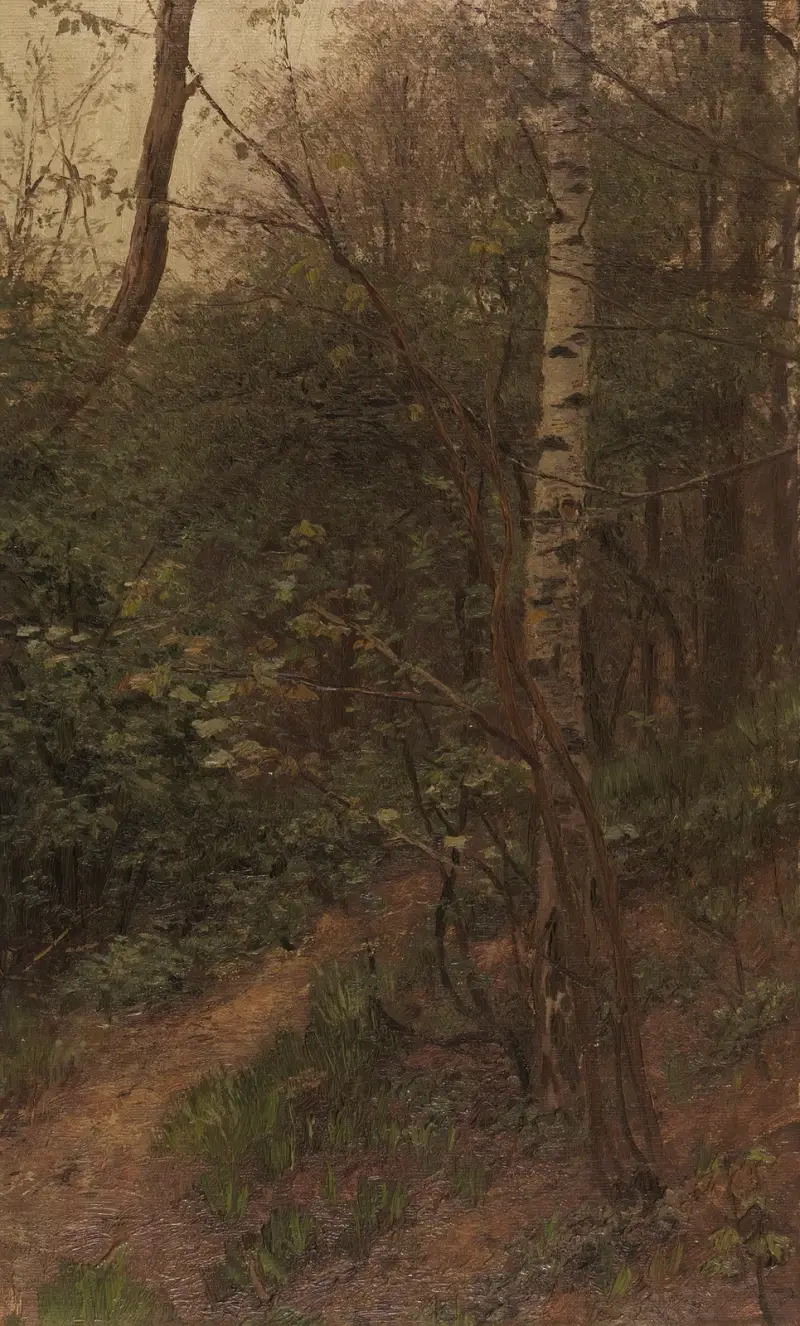 Birken am Waldrand von Alexander Koester