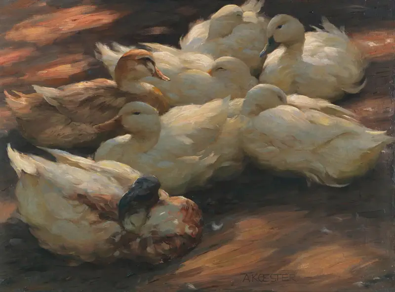 Enten am Boden lagernd av Alexander Koester