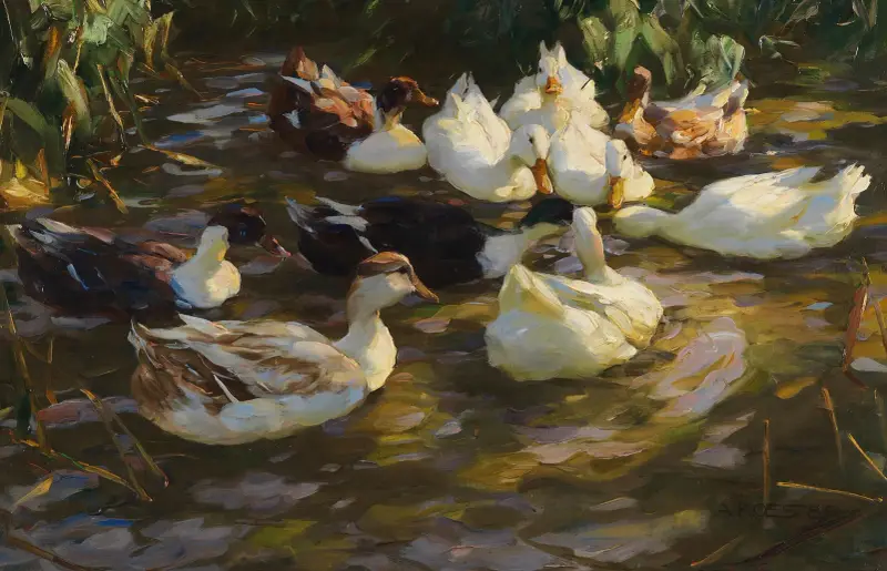 Kaczki w stawie (Kaczki przy strumieniu), Alexander Koester