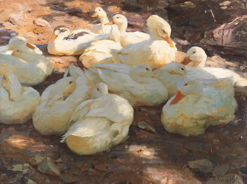 Leżące kaczki – światło i cień, Alexander Koester