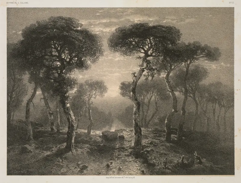Les Forêts de Sierre en Valais, Alexandre Calame