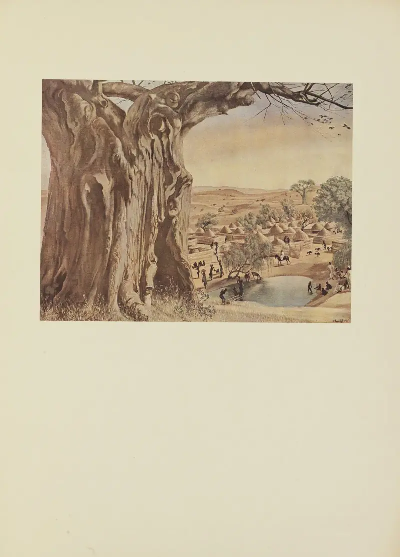 Baobab (Sudan), Alexandre Jacovleff