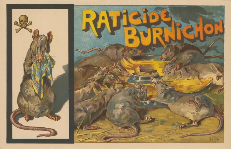 Raticide, Burnichon von Théophile Alexandre Steinlen