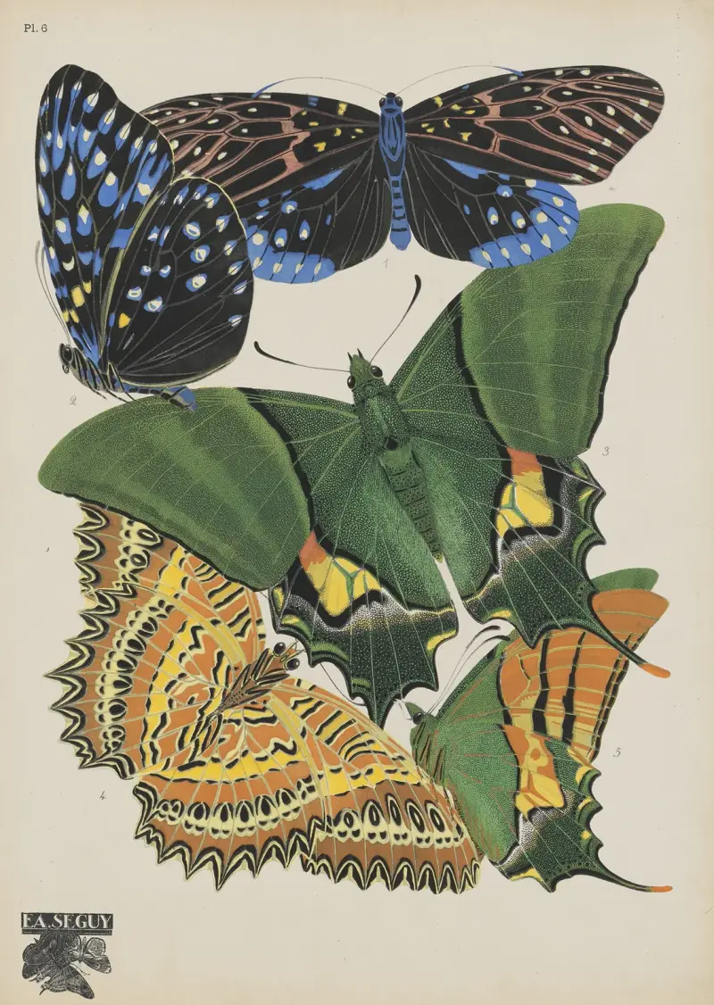 Papillons Pl.06 von Emile-Allain Séguy