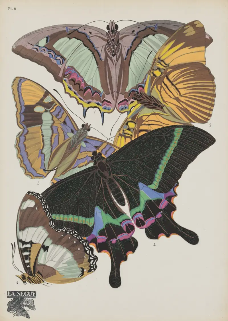 Papillons Pl.08 von Emile-Allain Séguy