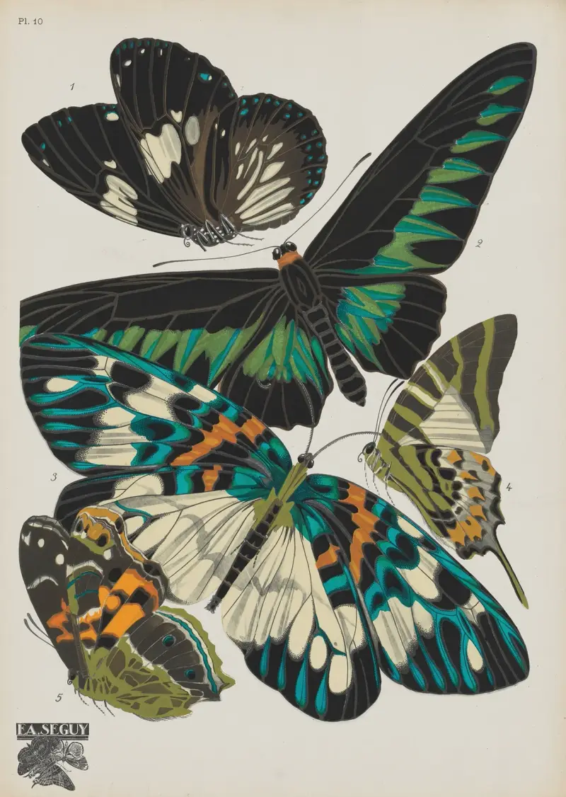 Papillons Pl.10 von Emile-Allain Séguy